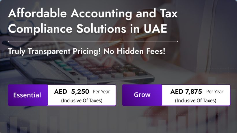 Accounting and Bookkeeping Services for SMEs in Dubai