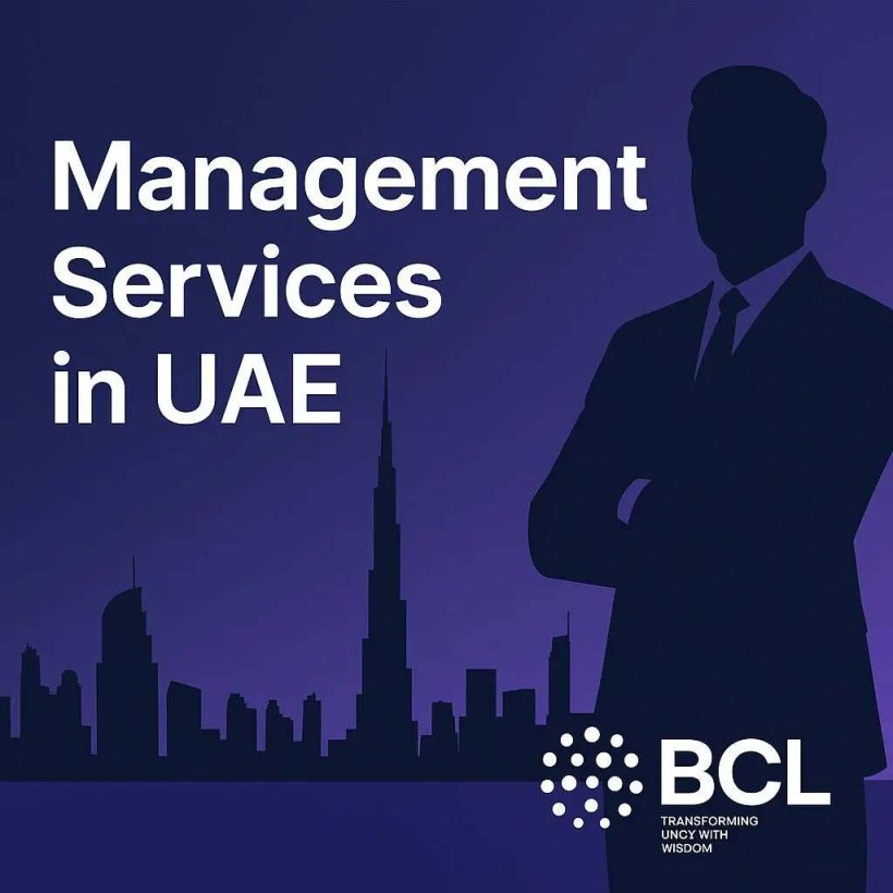 UAE Transfer Pricing Management Services
